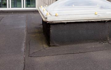 disadvantages of The Barony flat roofs